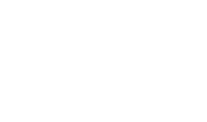 Chronik label